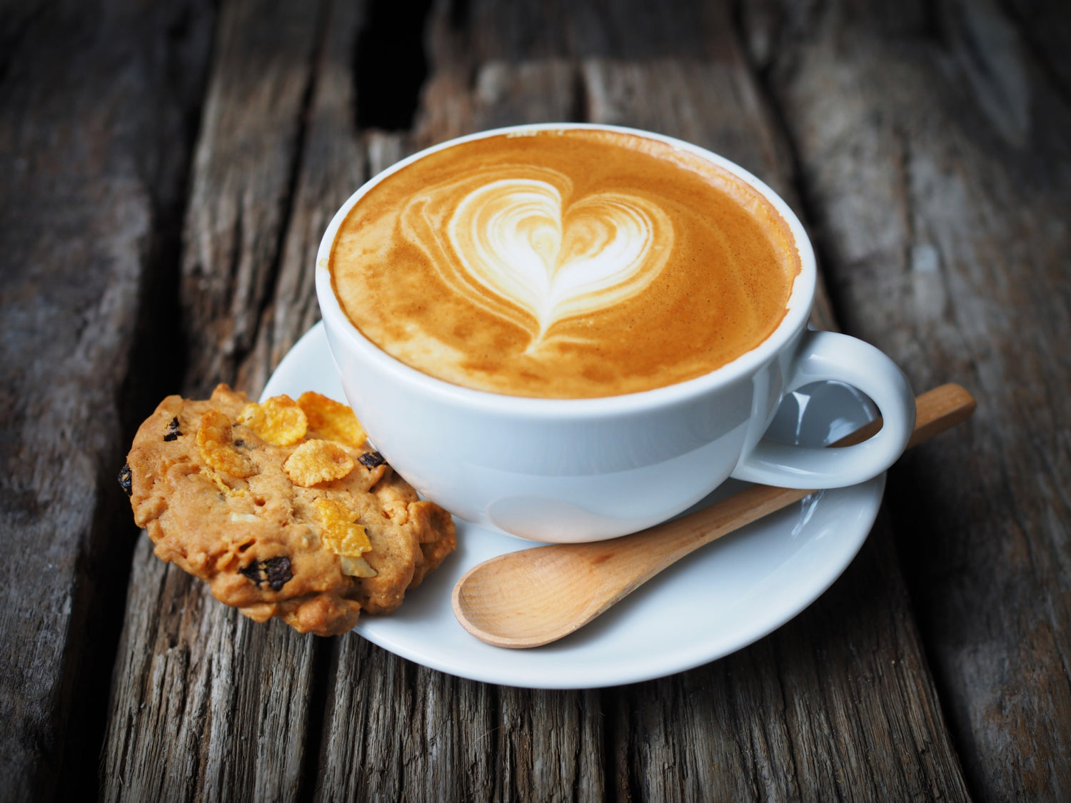 Why You Should Add Lion’s Mane Coffee to Your Morning Routine